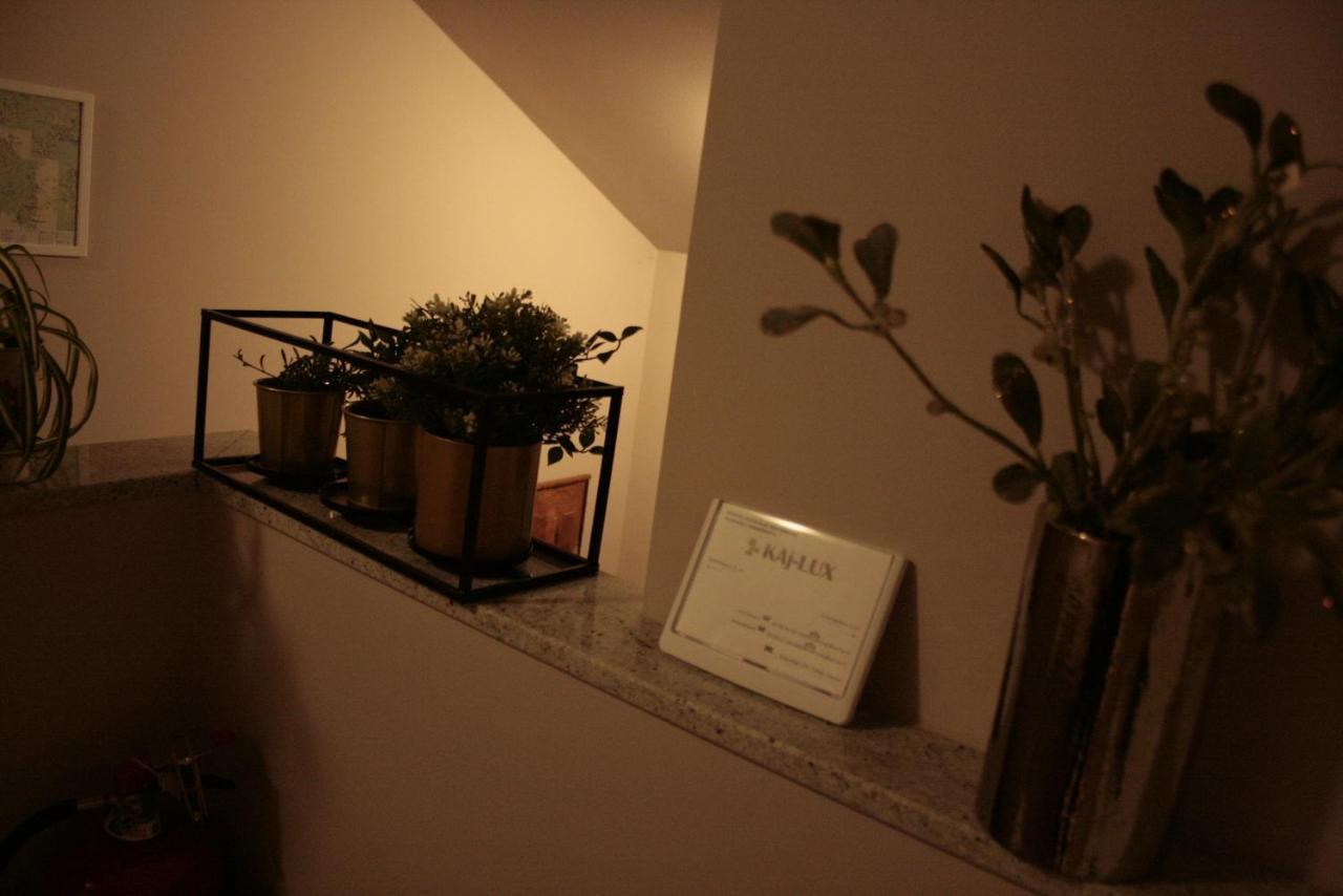 Kaj-Lux Apartment Tuheljske Toplice Bagian luar foto