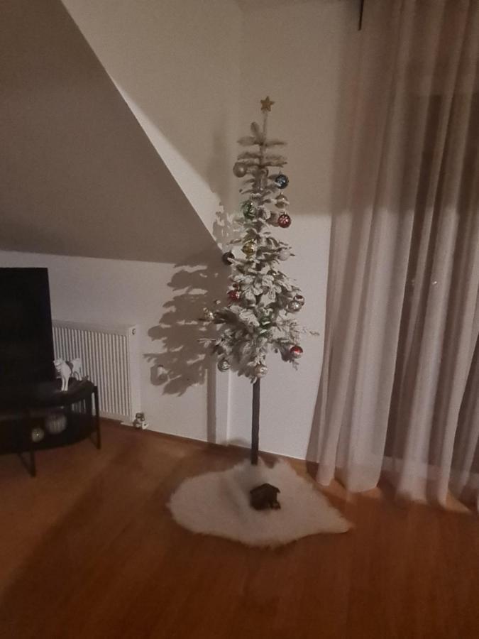 Kaj-Lux Apartment Tuheljske Toplice Bagian luar foto