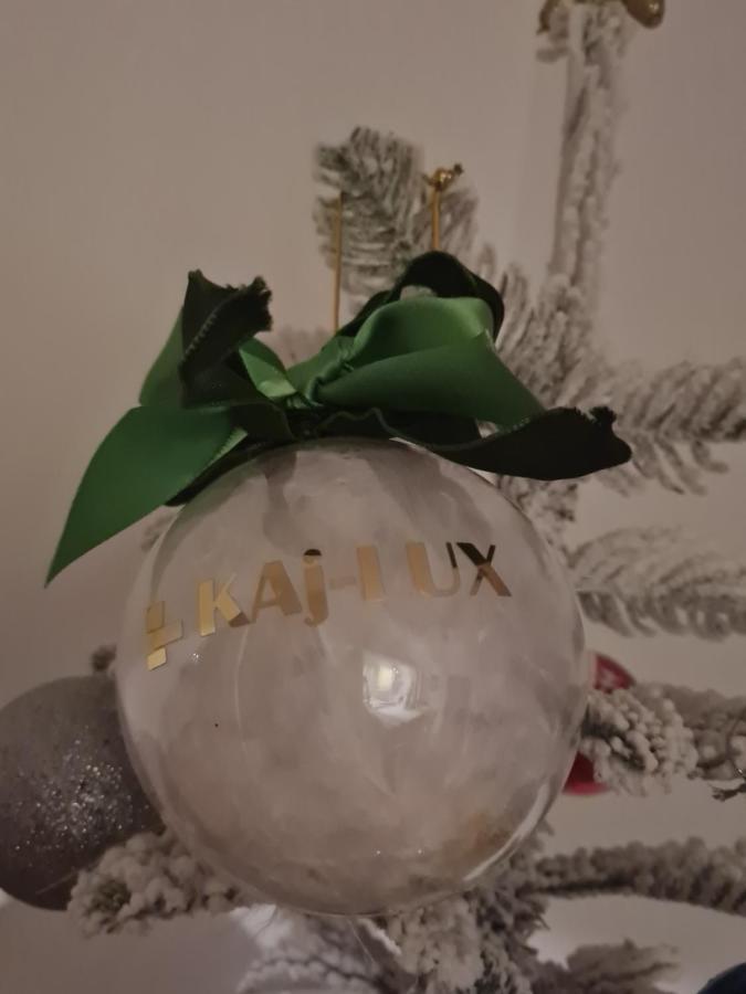 Kaj-Lux Apartment Tuheljske Toplice Bagian luar foto